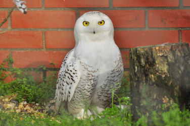 Similar image 22235788