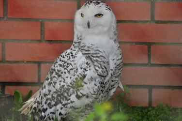 Similar image 22235789