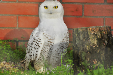 Similar image 22235790