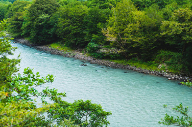 Similar image 22236228