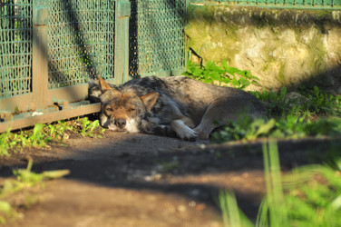 Similar image 22236242