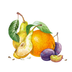 Similar image 22244395