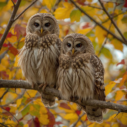 Similar image 22237185