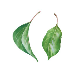 Similar image 22244396