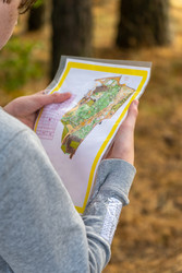 Similar image 22236583