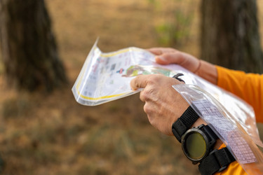 Similar image 22236585