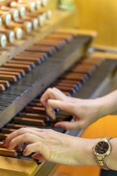 Similar image 22236586