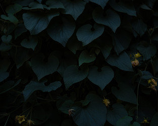 Similar image 22235813