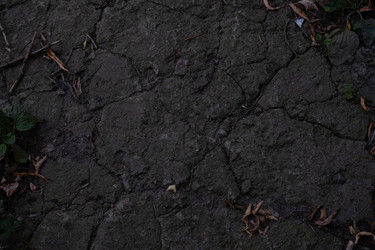 Similar image 22235814