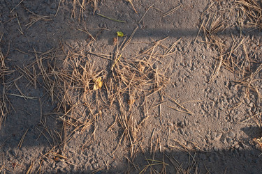 Similar image 22236306