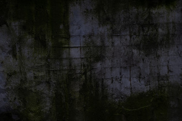 Similar image 22236464