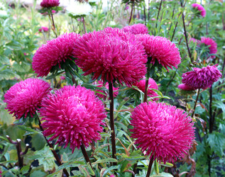 Similar image 22235817