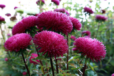 Similar image 22235818