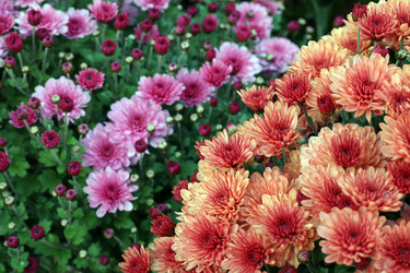 Similar image 22235820