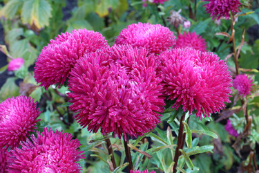 Similar image 22235821