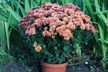 Similar image 22235824