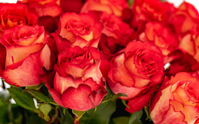 Similar image 22236090