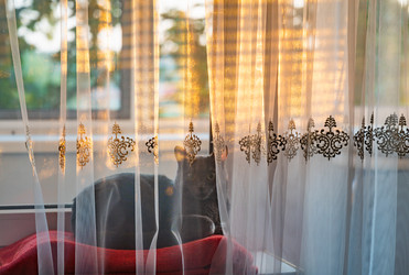 Similar image 22236094