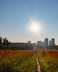 Similar image 22236095