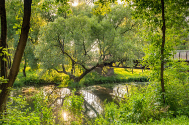 Similar image 22236096