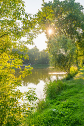 Similar image 22236100