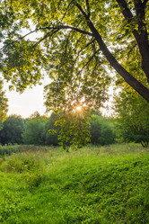 Similar image 22236101