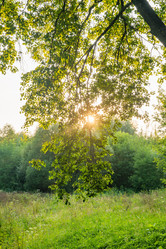 Similar image 22236102