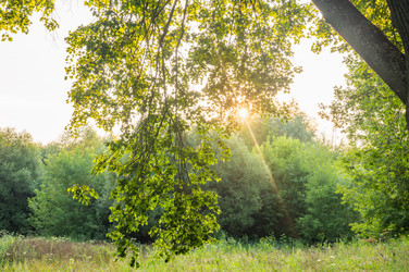 Similar image 22236103