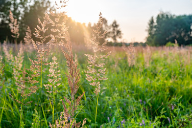 Similar image 22236104