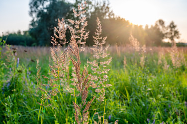 Similar image 22236105