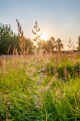 Similar image 22236106