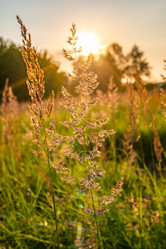 Similar image 22236107