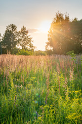 Similar image 22236108