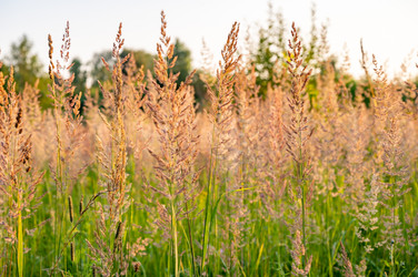 Similar image 22236109