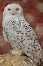 Similar image 22257960