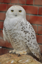 Similar image 22257962