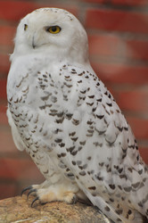 Similar image 22257963