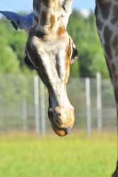 Similar image 22236256