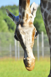 Similar image 22236257