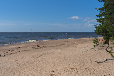 Similar image 22235911