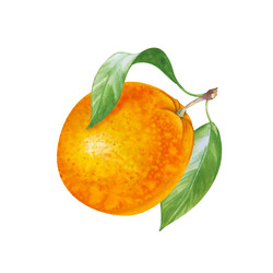 Similar image 22236469