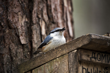 Similar image 22235918