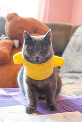 Similar image 22235919