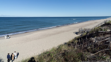 Similar image 22236474