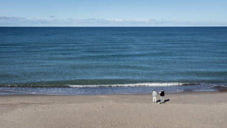 Similar image 22236475