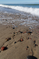 Similar image 22236479