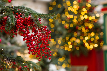 Similar image 22236485