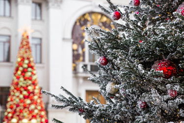 Similar image 22236486