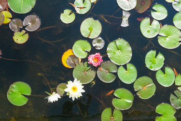 Similar image 22236626