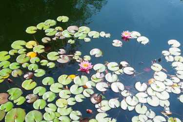 Similar image 22236627